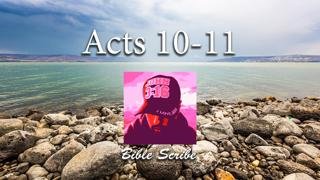 Acts 10 and 11 Bible Reading